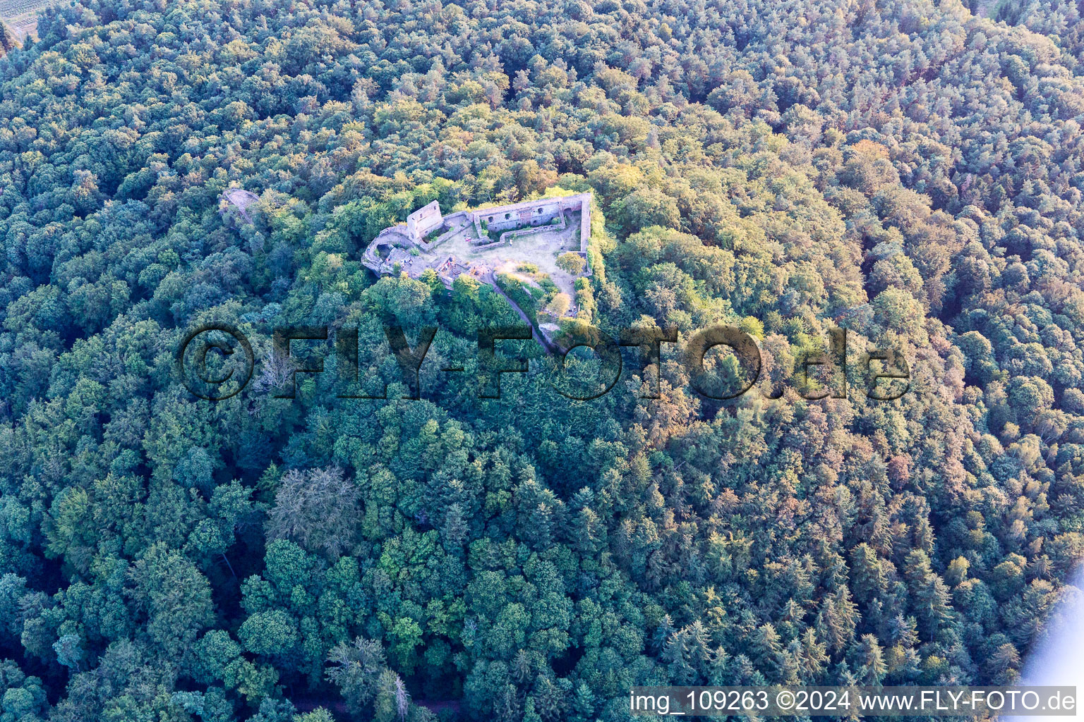 Aerial photograpy of Lindelbrunn ruins in Vorderweidenthal in the state Rhineland-Palatinate, Germany