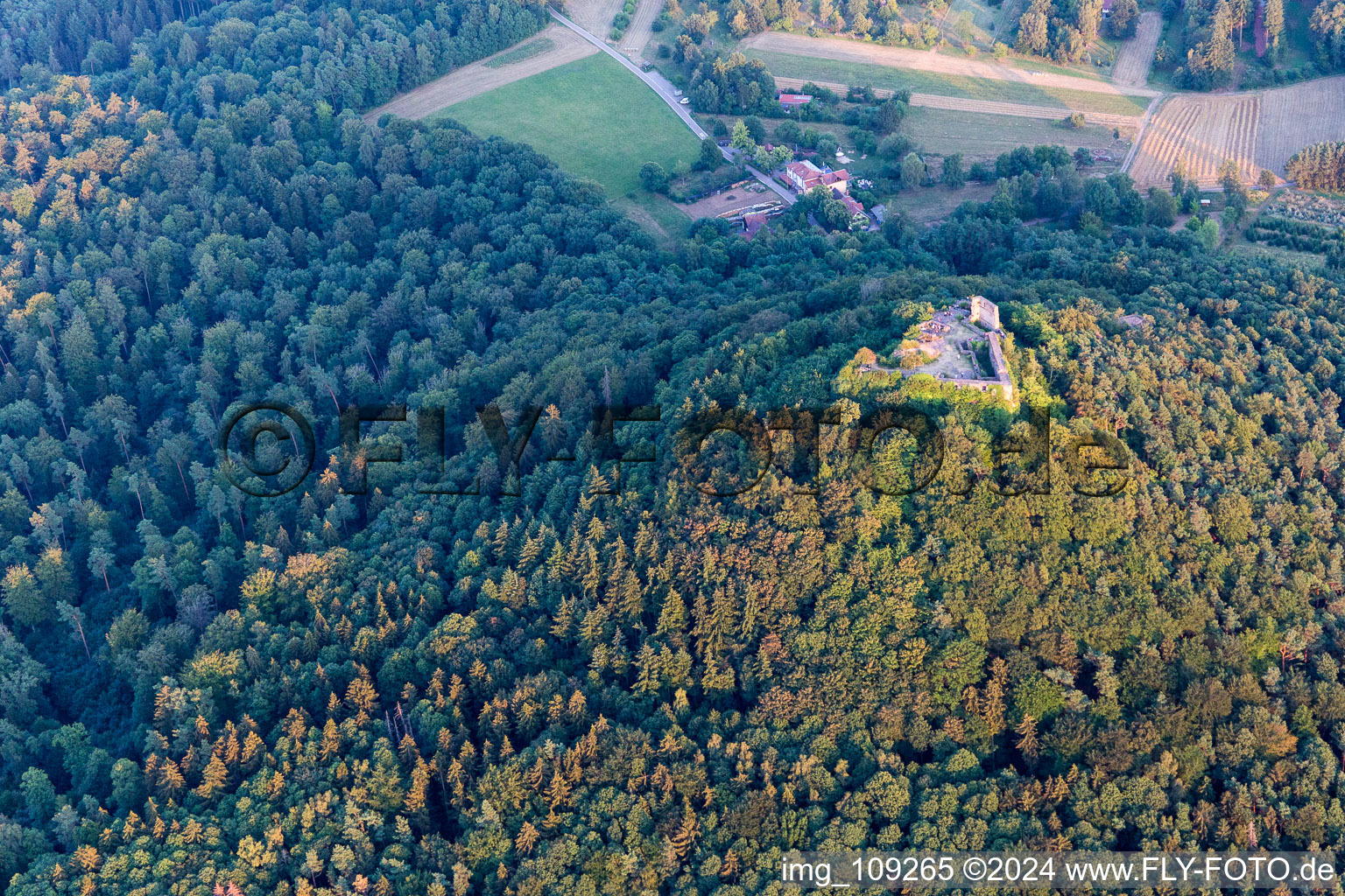 Oblique view of Lindelbrunn ruins in Vorderweidenthal in the state Rhineland-Palatinate, Germany