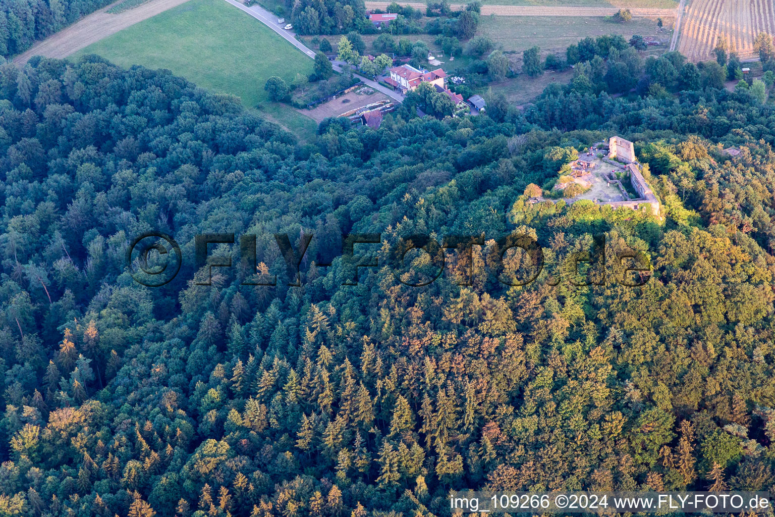 Lindelbrunn ruins in Vorderweidenthal in the state Rhineland-Palatinate, Germany from above