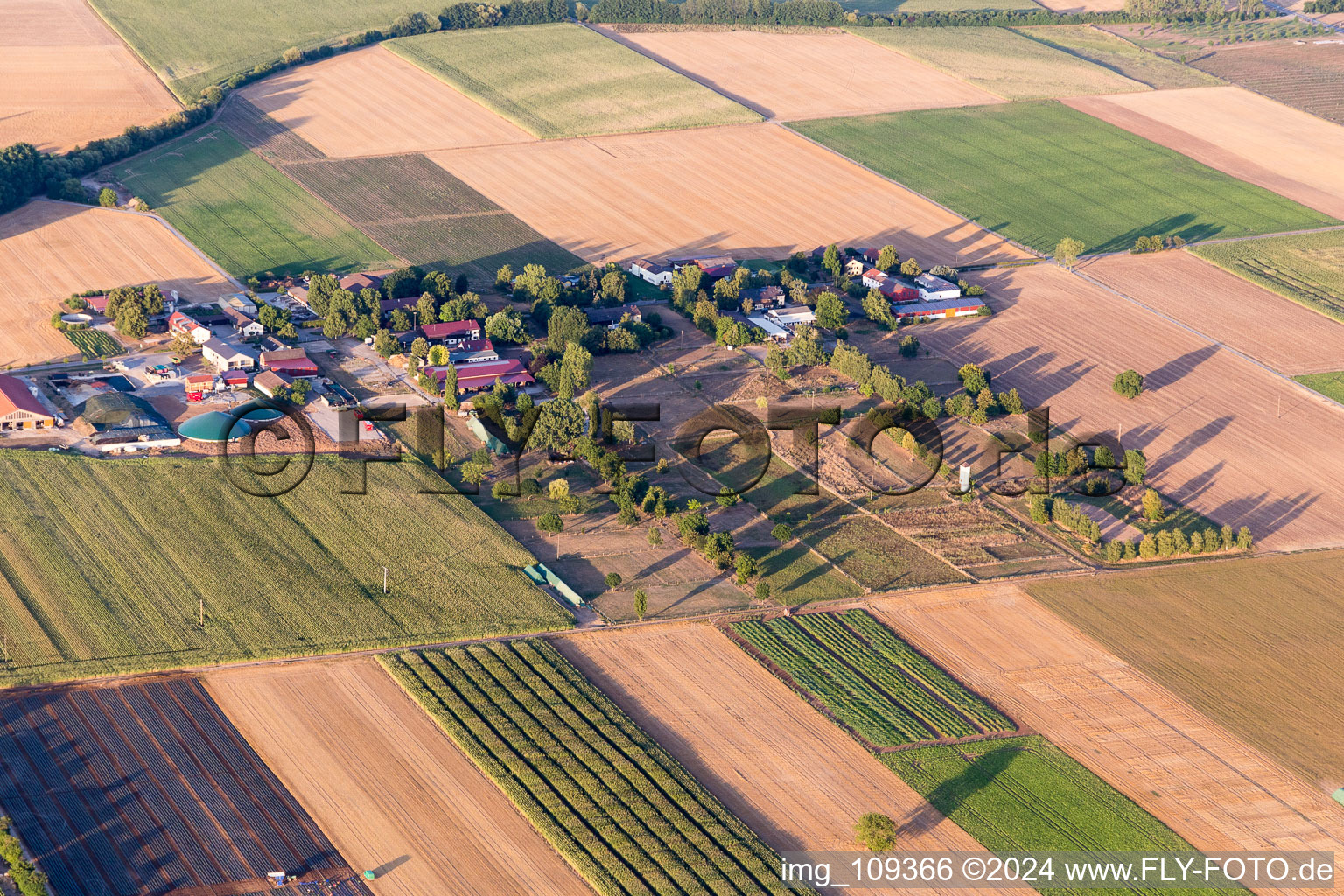 Edingerhof in the state Baden-Wuerttemberg, Germany