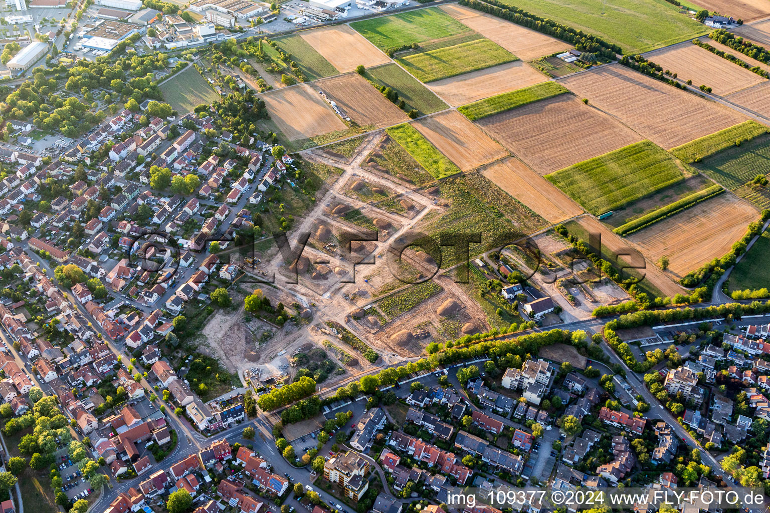 Aerial view of Ladenburg in the state Baden-Wuerttemberg, Germany