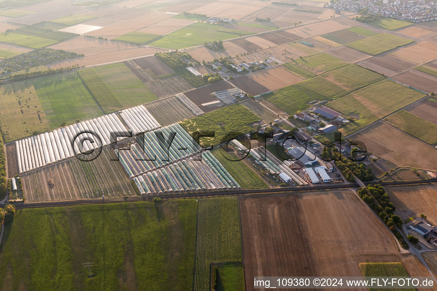 Aerial photograpy of Ladenburg in the state Baden-Wuerttemberg, Germany