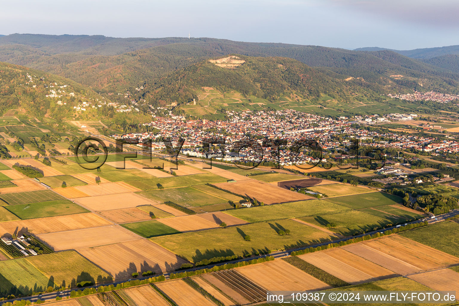 Schriesheim in the state Baden-Wuerttemberg, Germany from a drone