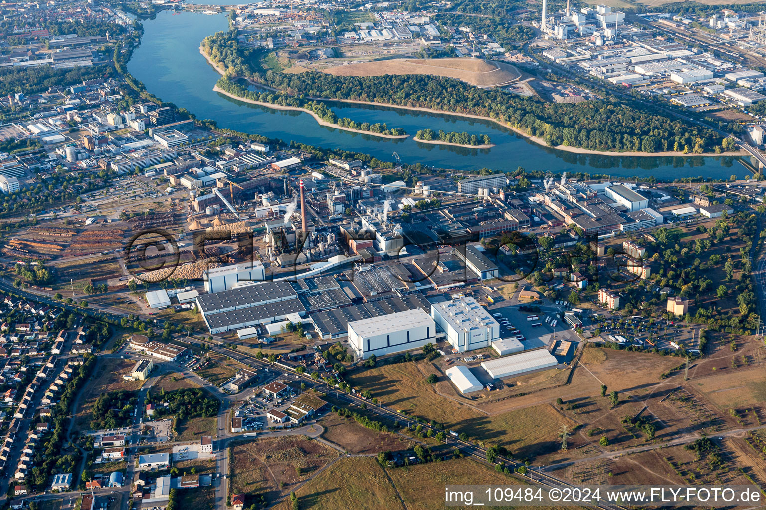 Building and production halls on the premises Essity Mannheim (ZeWa) in the district Sandhofen in Mannheim in the state Baden-Wurttemberg, Germany