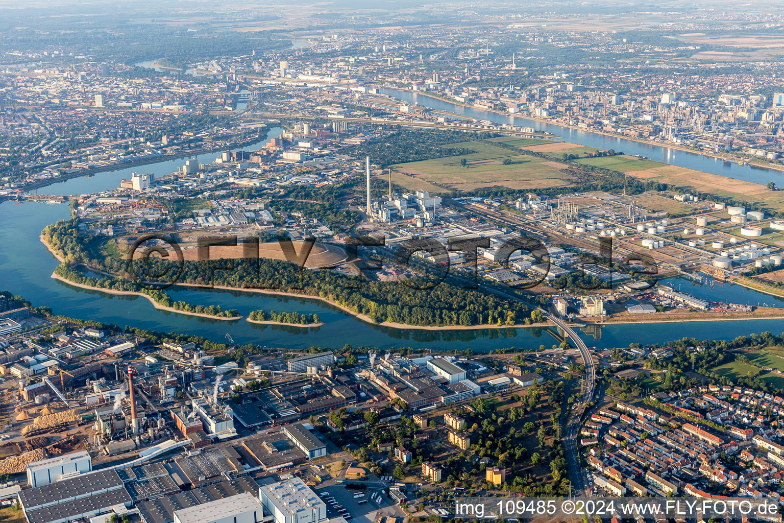 Aerial view of Friesenheim Island in the district Neckarstadt-West in Mannheim in the state Baden-Wuerttemberg, Germany