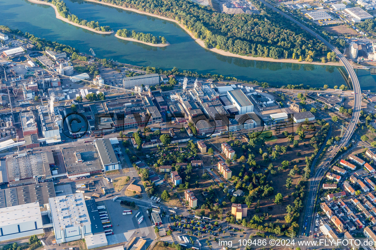 Aerial photograpy of Essity in the district Sandhofen in Mannheim in the state Baden-Wuerttemberg, Germany