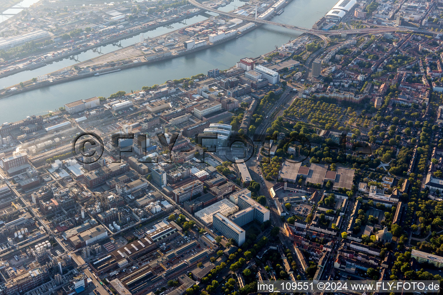 Oblique view of District Mitte in Ludwigshafen am Rhein in the state Rhineland-Palatinate, Germany