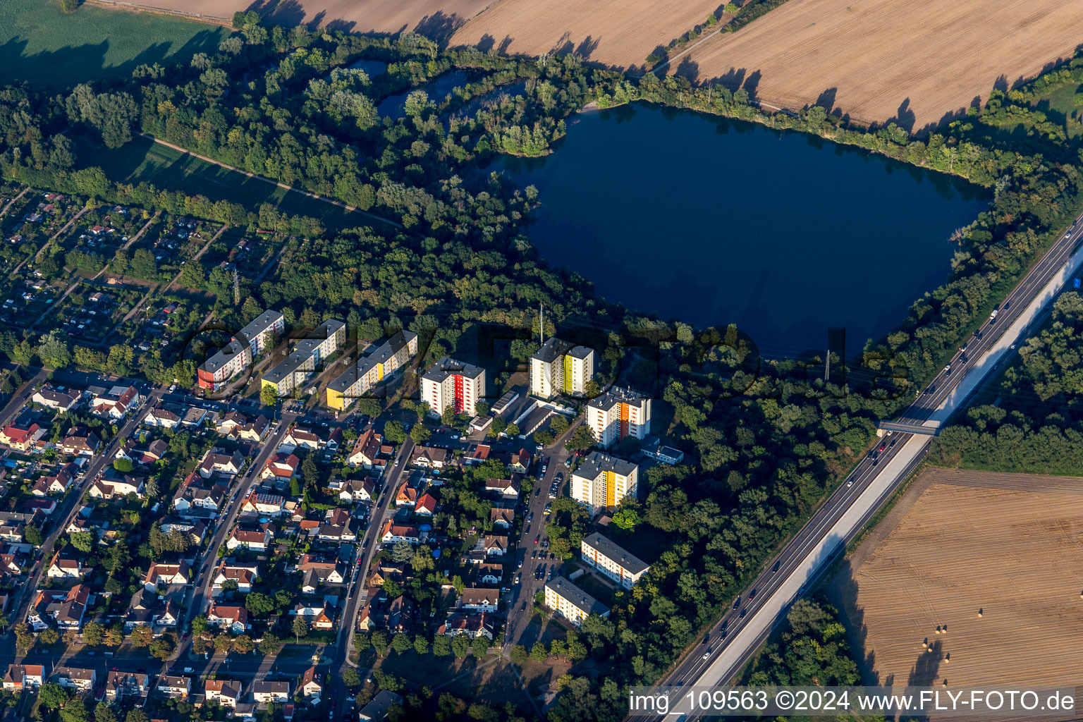 Holzscher Weiher in the district Gartenstadt in Ludwigshafen am Rhein in the state Rhineland-Palatinate, Germany