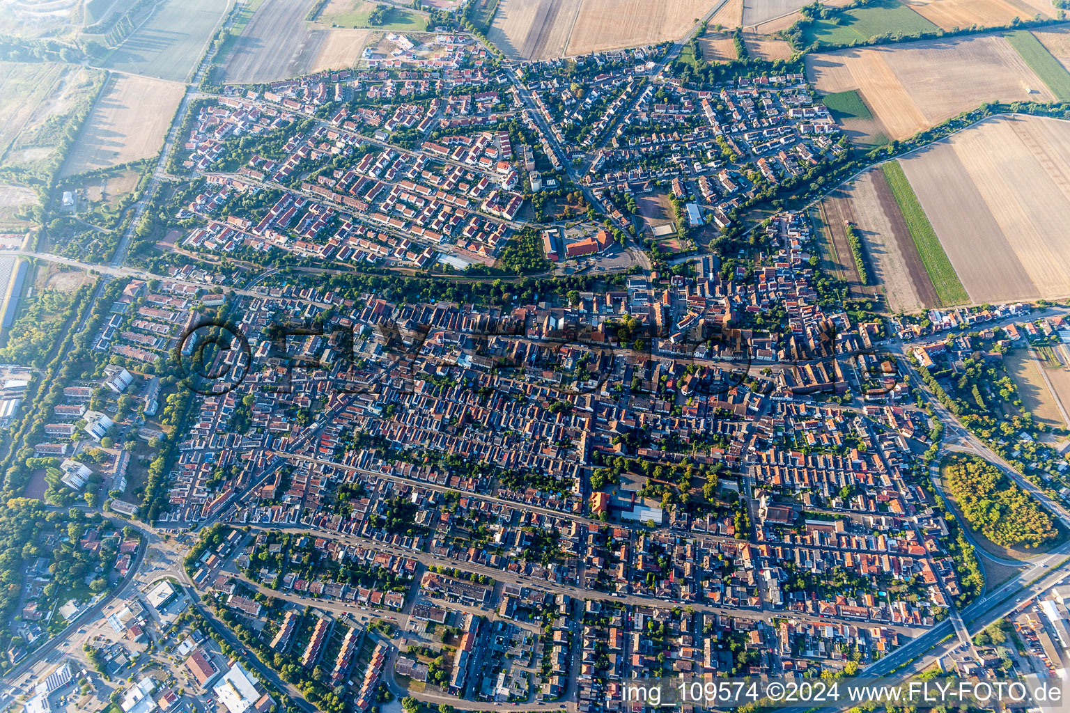 District Rheingönheim in Ludwigshafen am Rhein in the state Rhineland-Palatinate, Germany from above