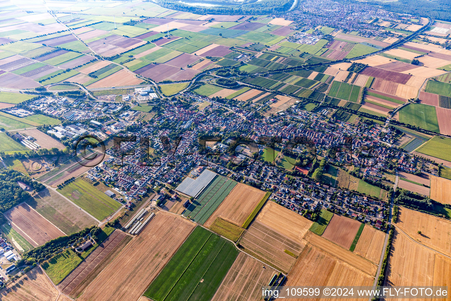 Bird's eye view of Schwegenheim in the state Rhineland-Palatinate, Germany