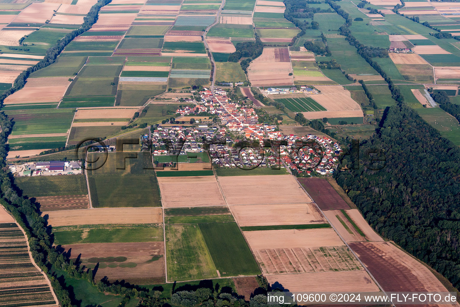 Agricultural land and field borders surround the settlement area of the village in Freisbach in the state Rhineland-Palatinate, Germany from the plane