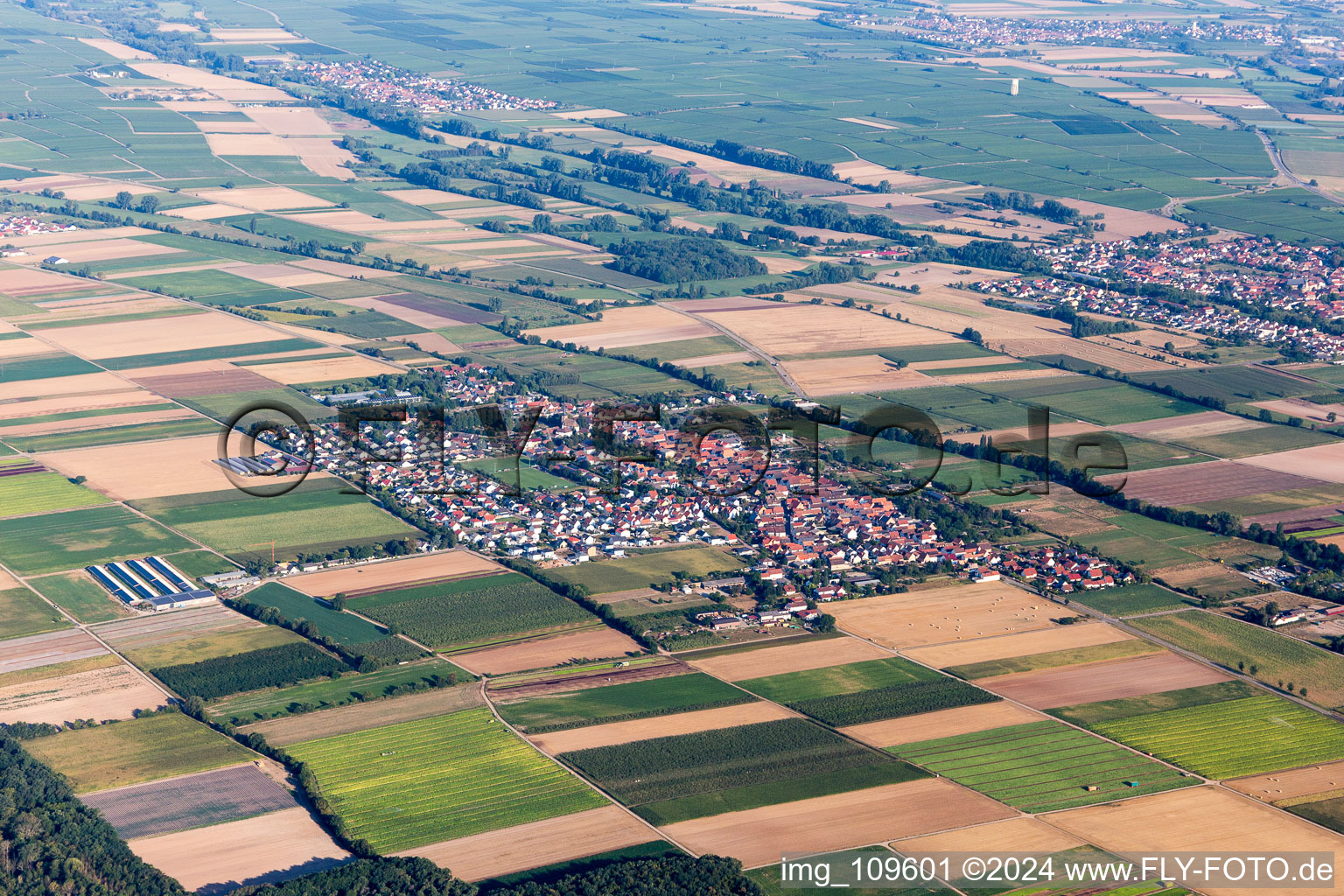 Bird's eye view of Gommersheim in the state Rhineland-Palatinate, Germany