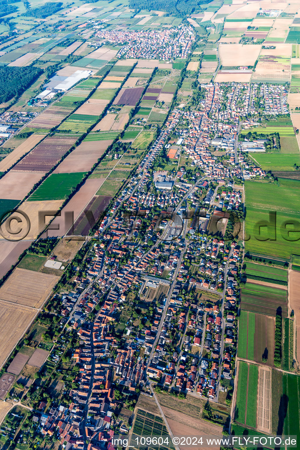 Village view on the edge of agricultural fields and land in Lustadt in the state Rhineland-Palatinate, Germany