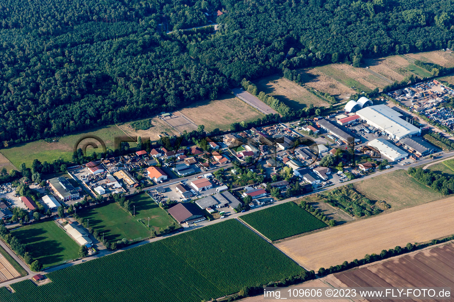 Aerial view of Niederlustadt in the state Rhineland-Palatinate, Germany