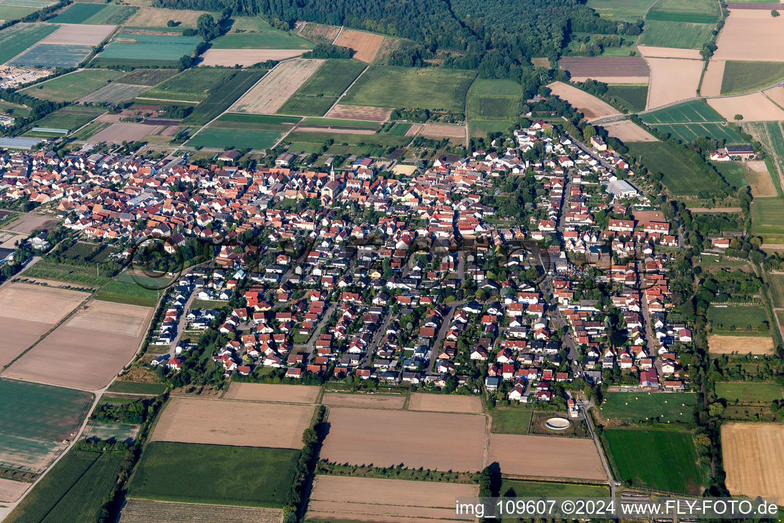 Village view on the edge of agricultural fields and land in Zeiskam in the state Rhineland-Palatinate, Germany