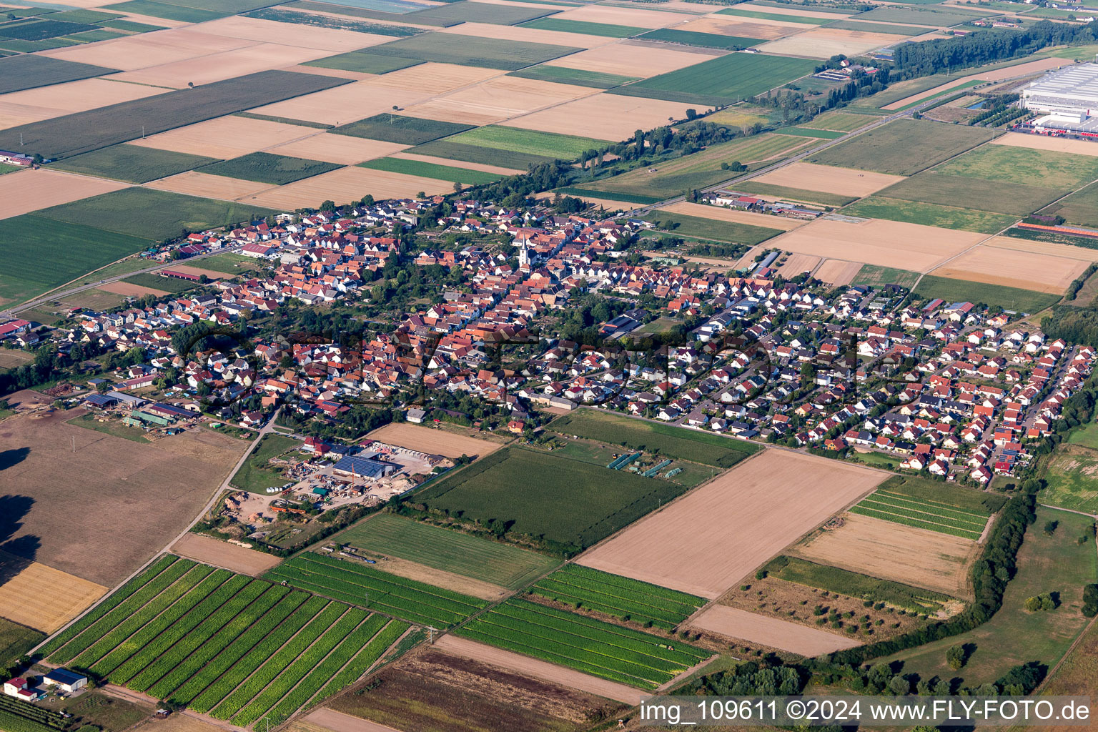 Agricultural land and field borders surround the settlement area of the village in Ottersheim bei Landau in the state Rhineland-Palatinate, Germany from the drone perspective