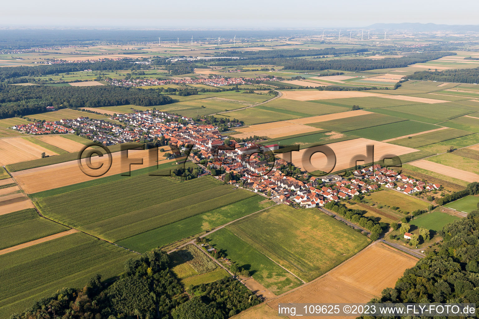 District Hayna in Herxheim bei Landau/Pfalz in the state Rhineland-Palatinate, Germany from a drone