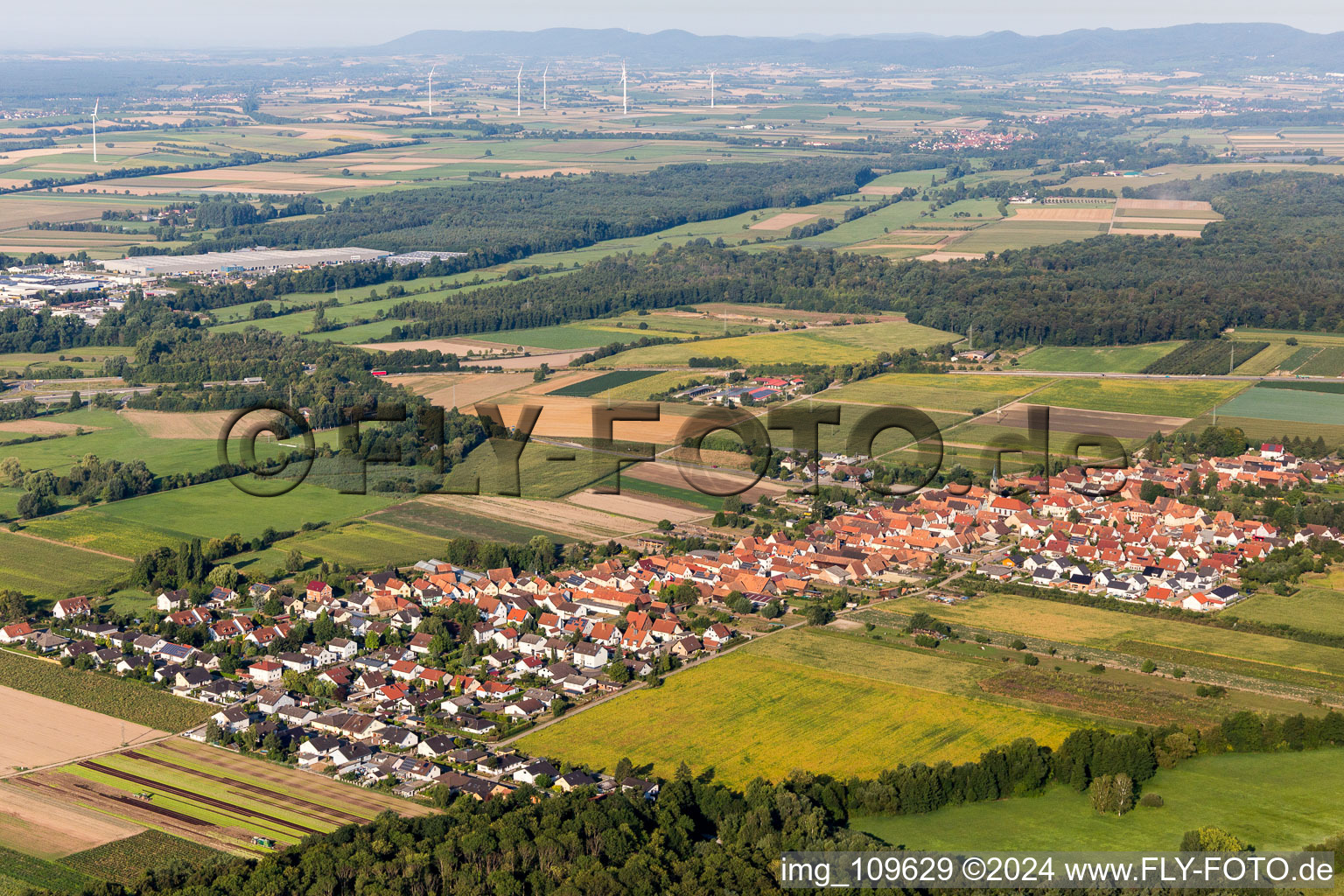 From northeast in Erlenbach bei Kandel in the state Rhineland-Palatinate, Germany