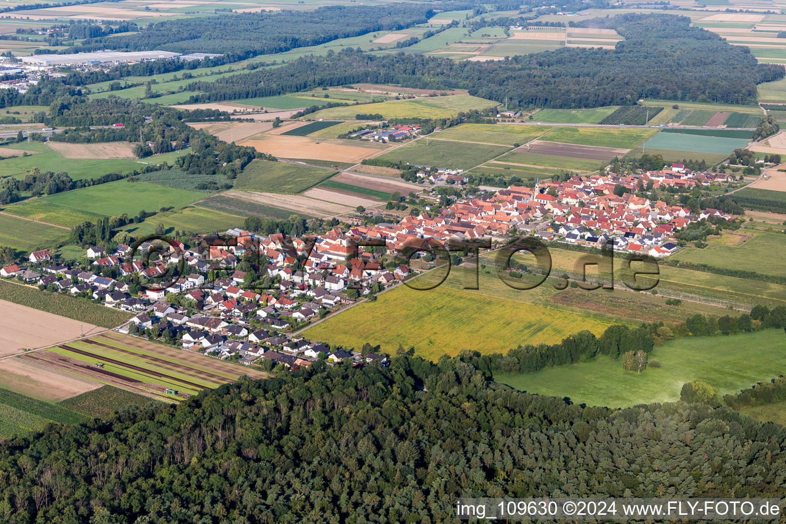 Aerial view of From northeast in Erlenbach bei Kandel in the state Rhineland-Palatinate, Germany