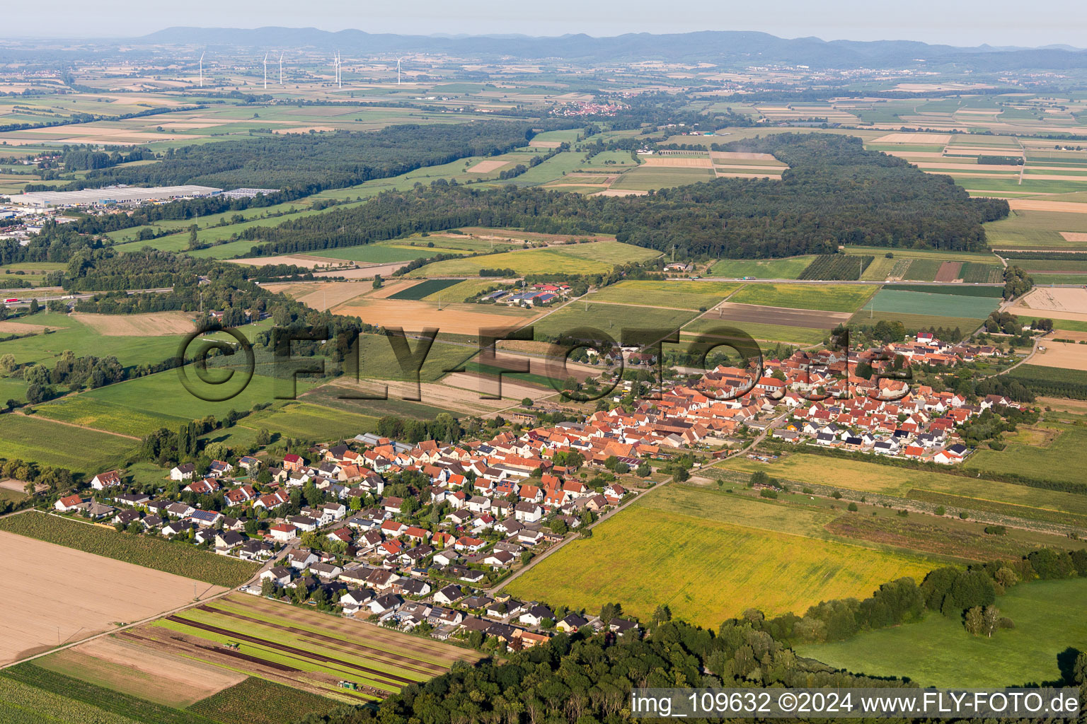 Aerial photograpy of From northeast in Erlenbach bei Kandel in the state Rhineland-Palatinate, Germany