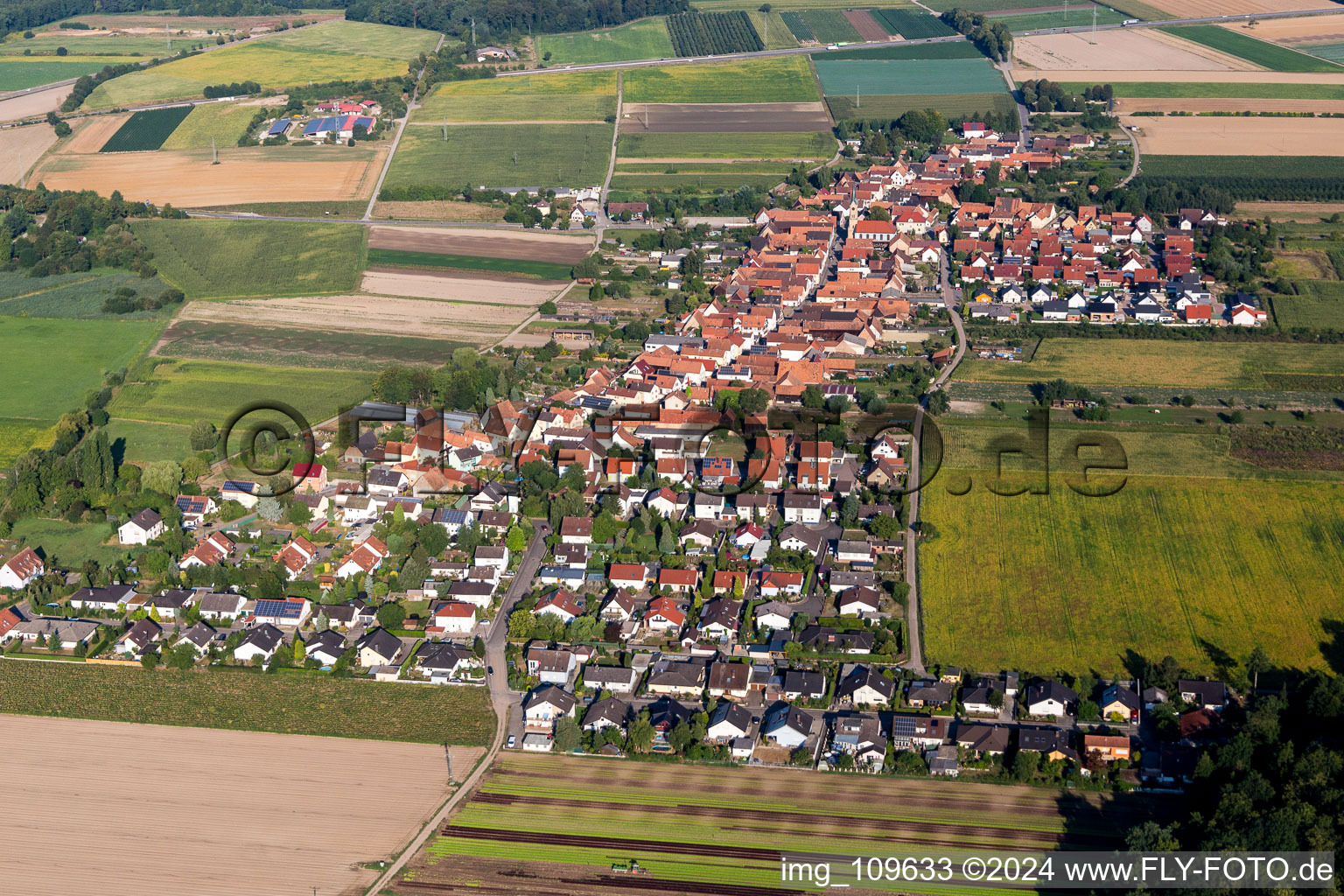 Oblique view of From northeast in Erlenbach bei Kandel in the state Rhineland-Palatinate, Germany