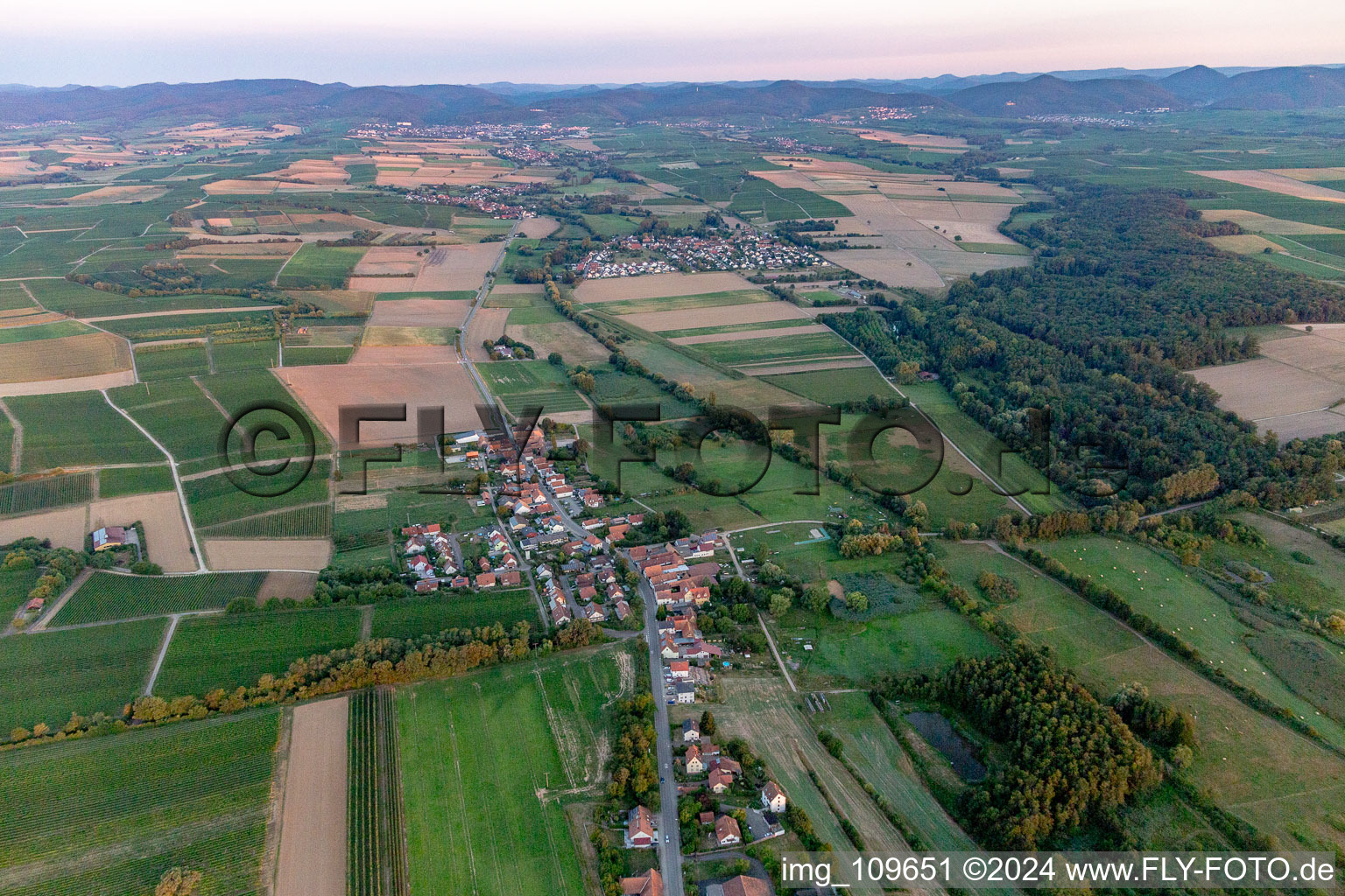 Bird's eye view of Hergersweiler in the state Rhineland-Palatinate, Germany