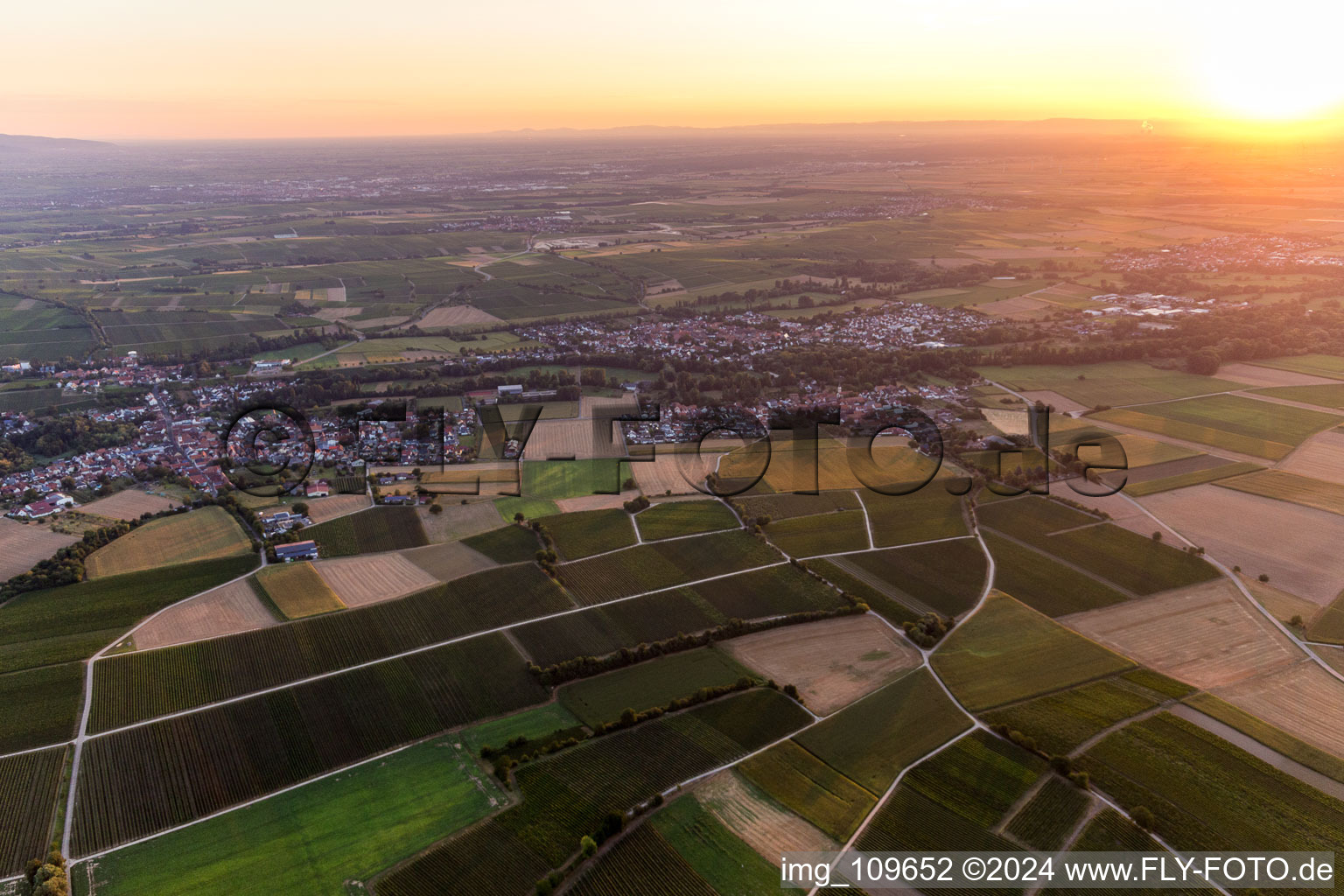 Drone image of District Ingenheim in Billigheim-Ingenheim in the state Rhineland-Palatinate, Germany