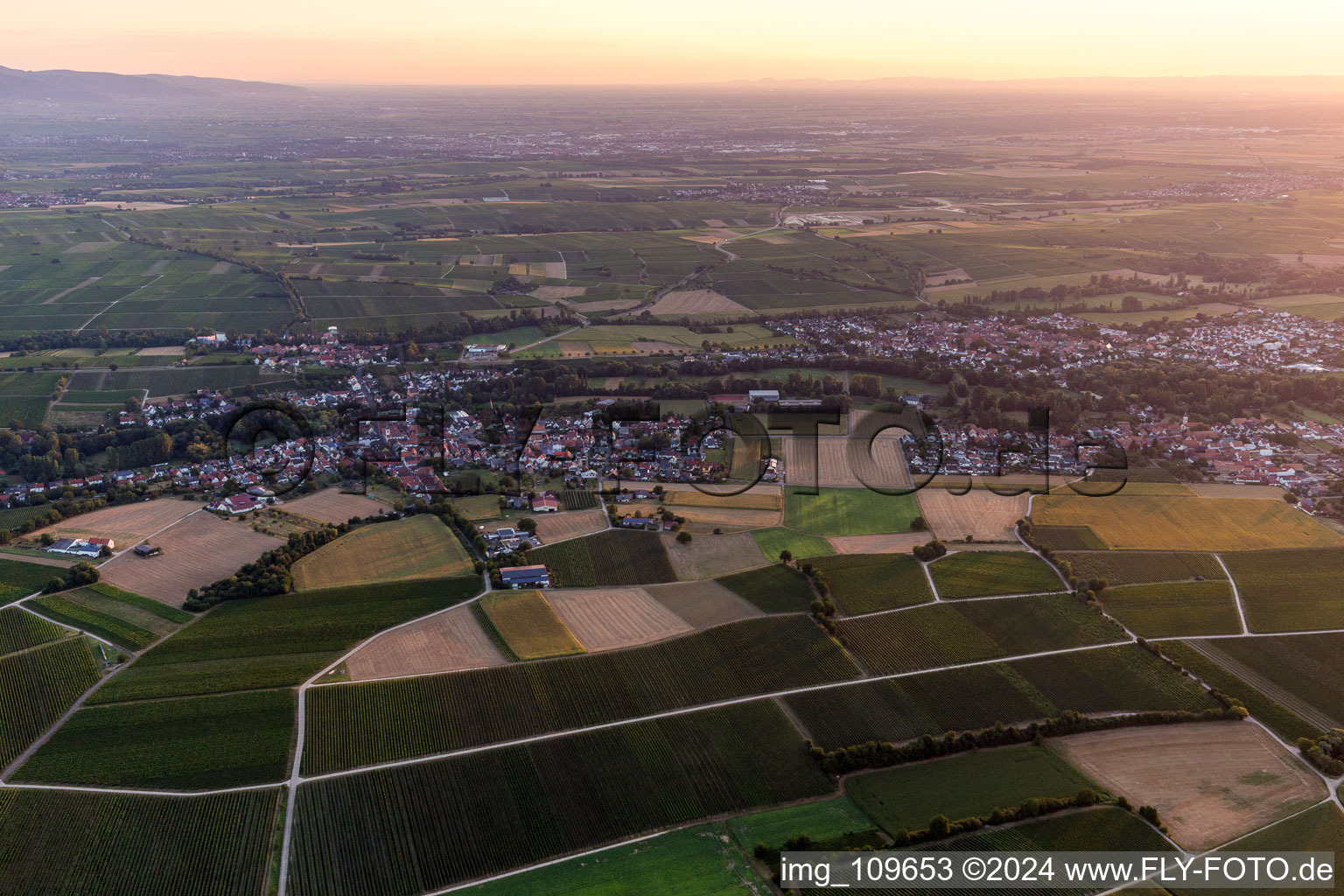 Drone recording of District Billigheim in Billigheim-Ingenheim in the state Rhineland-Palatinate, Germany