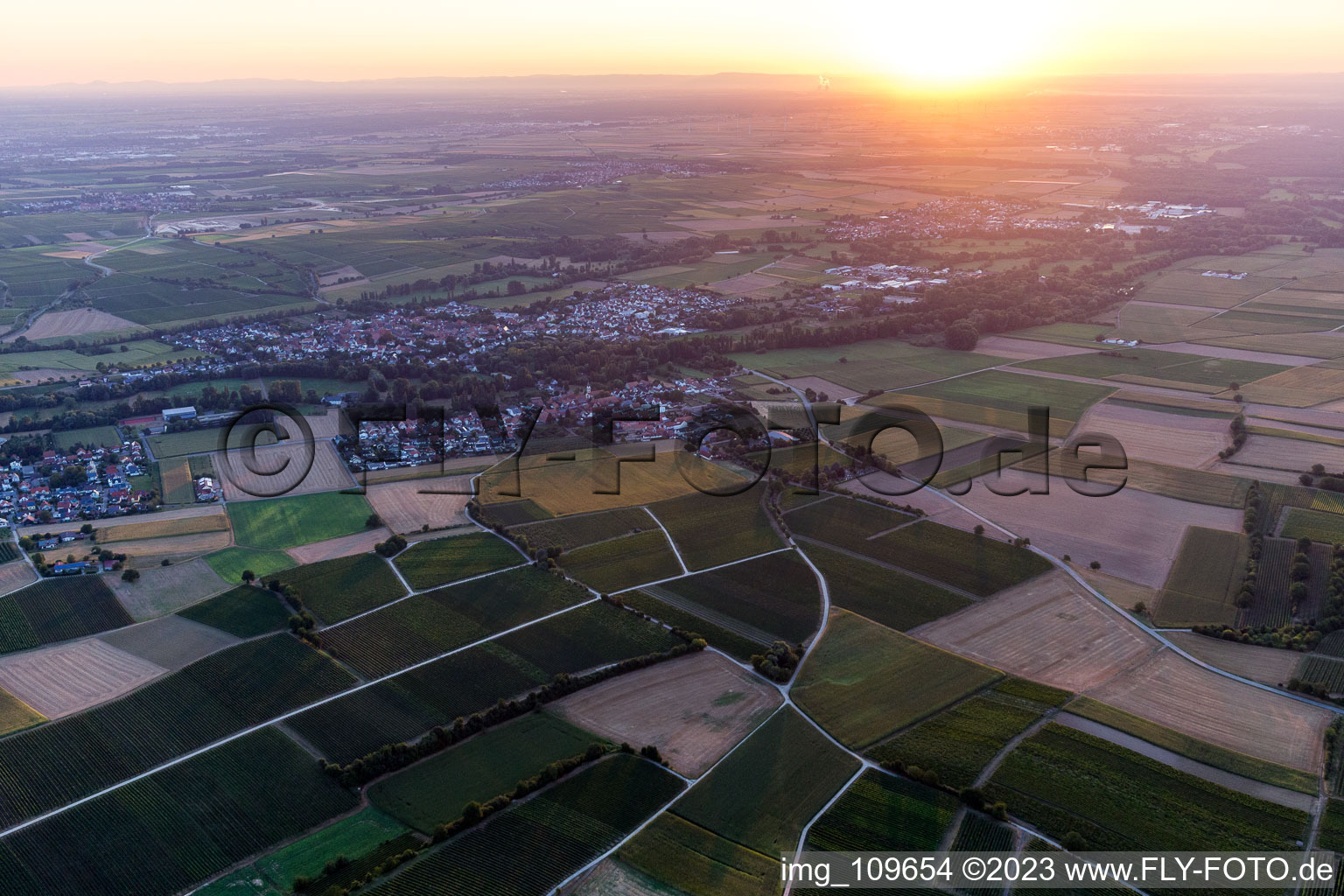 Drone image of District Billigheim in Billigheim-Ingenheim in the state Rhineland-Palatinate, Germany
