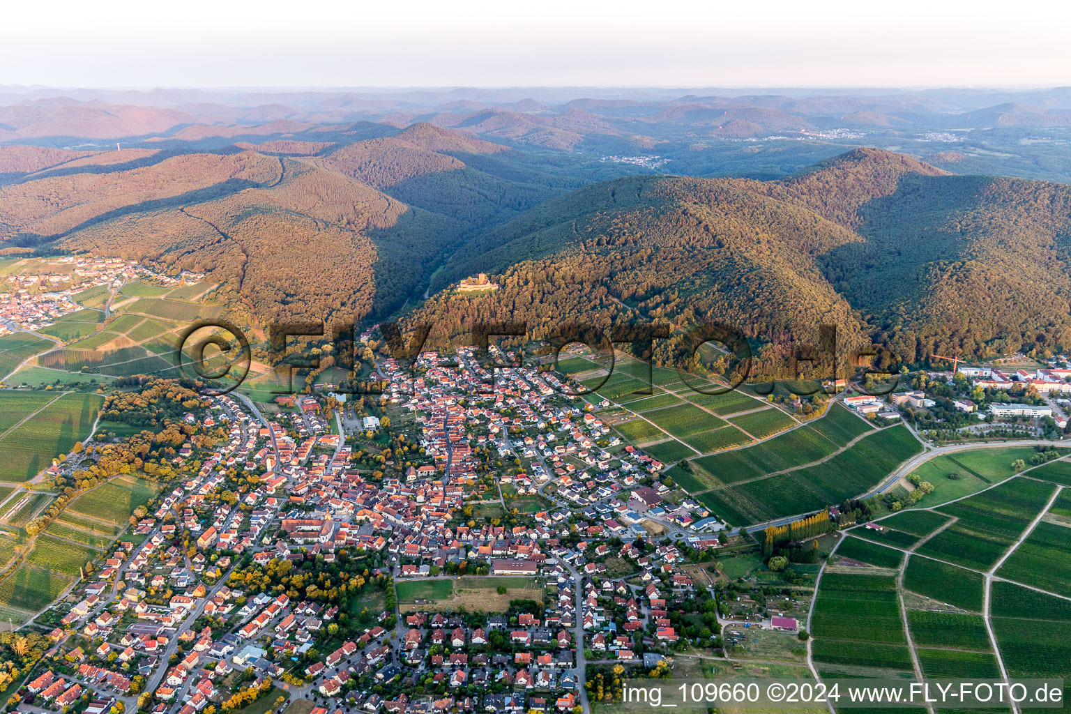 Klingenmünster in the state Rhineland-Palatinate, Germany from above