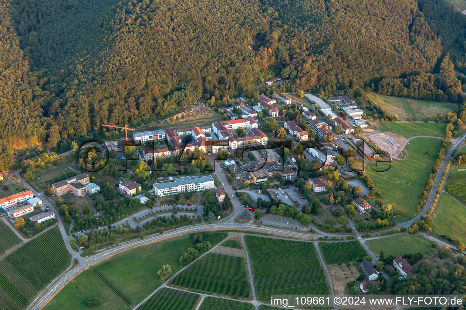 Aerial view of State Psychiatric Clinic in Klingenmünster in the state Rhineland-Palatinate, Germany