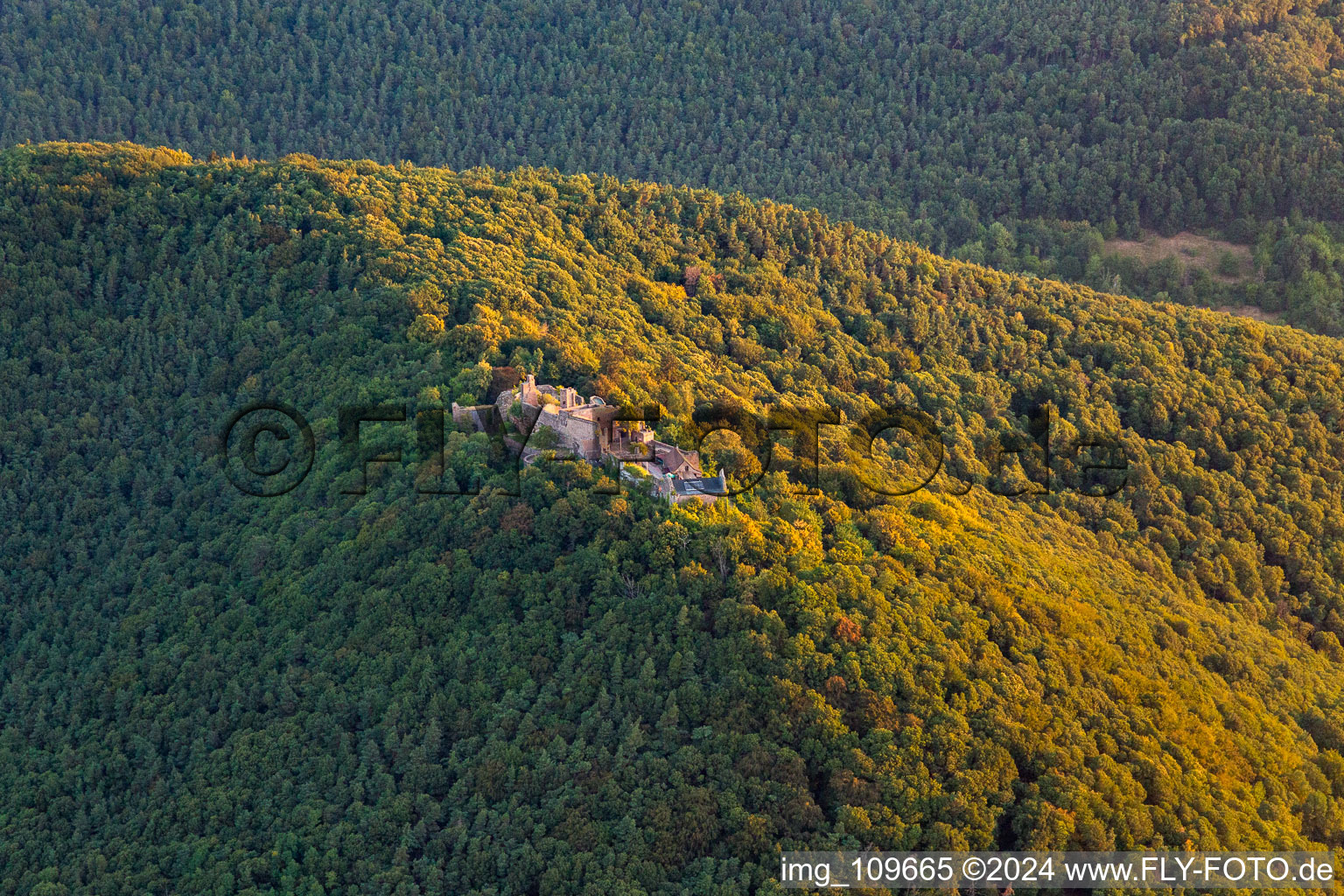 Madenburg Castle Ruins in Eschbach in the state Rhineland-Palatinate, Germany