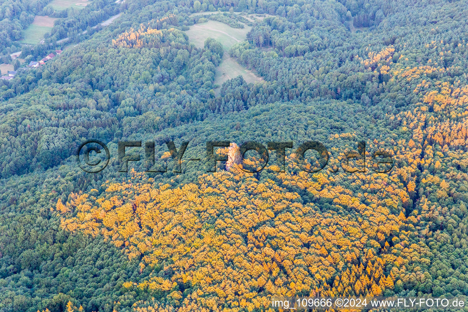 Waldhambach in the state Rhineland-Palatinate, Germany from above