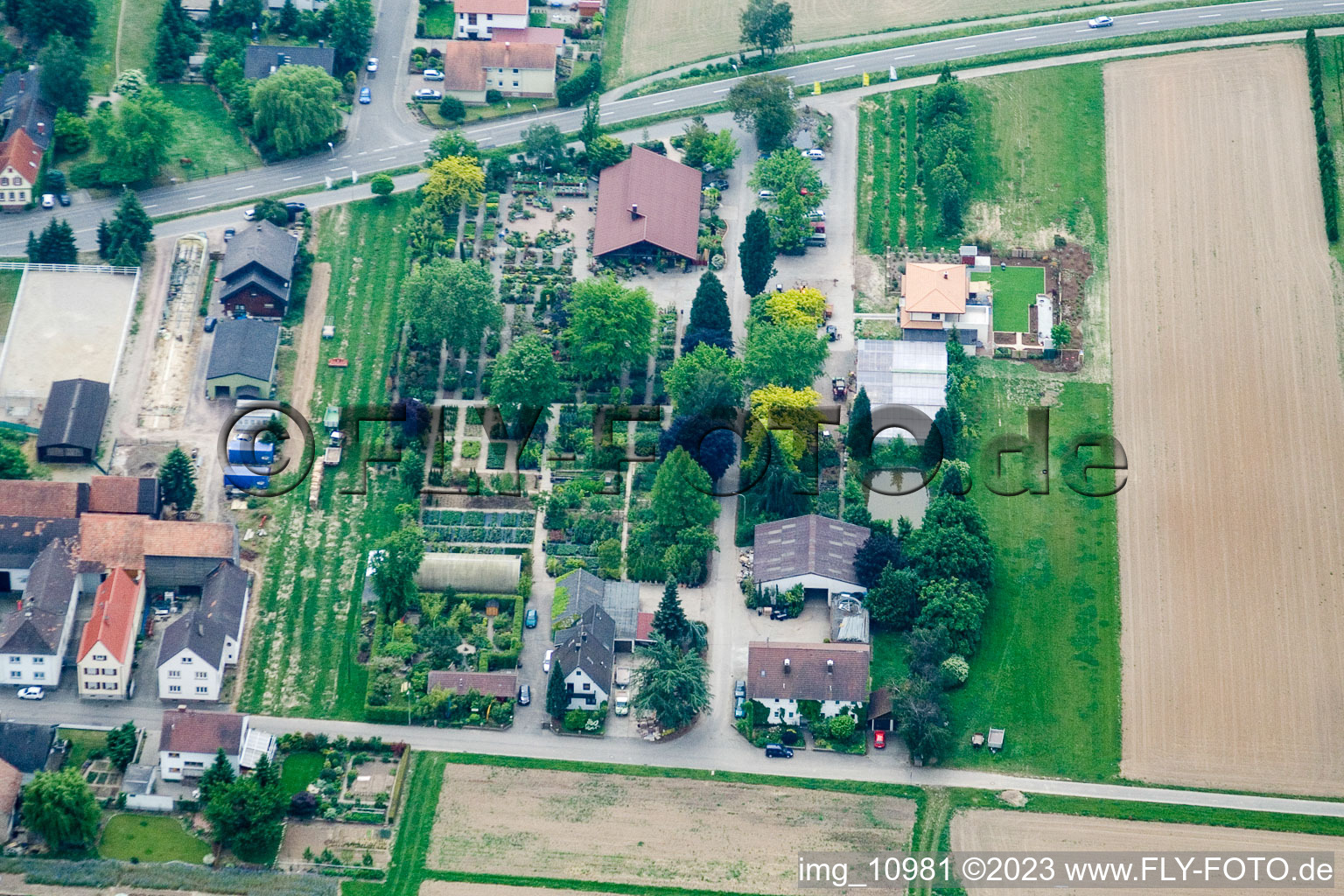 Konrad tree nursery/garden business in the district Hayna in Herxheim bei Landau/Pfalz in the state Rhineland-Palatinate, Germany