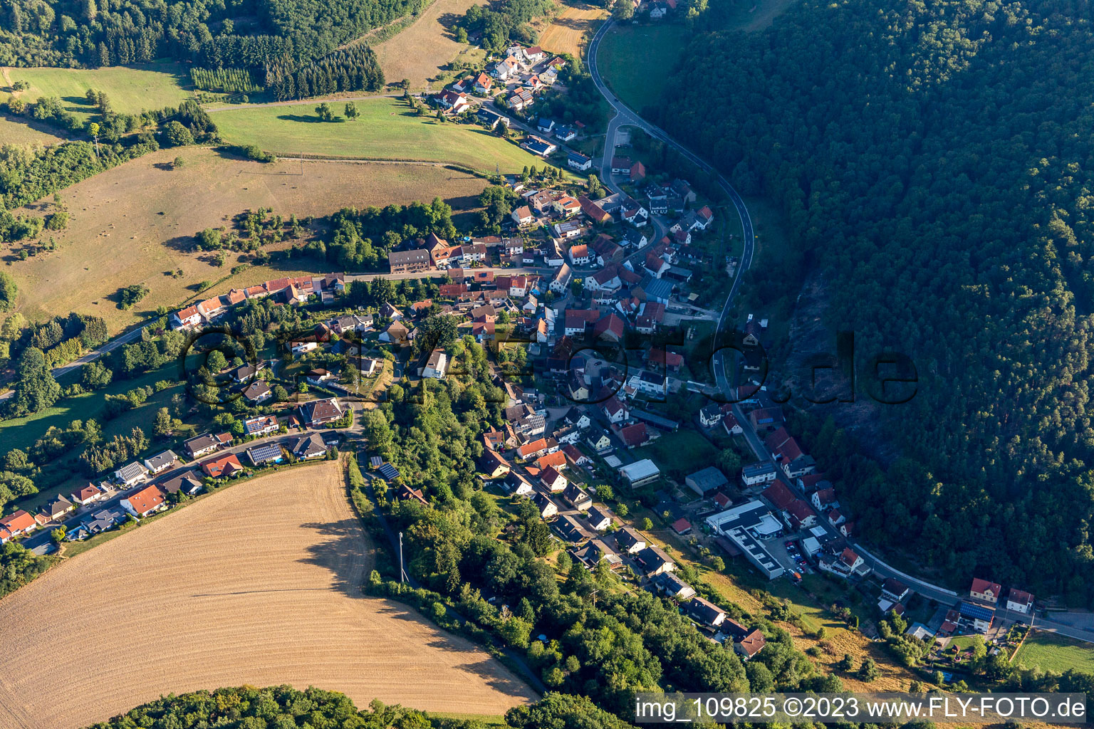 Aerial view of Gehrweiler in the state Rhineland-Palatinate, Germany