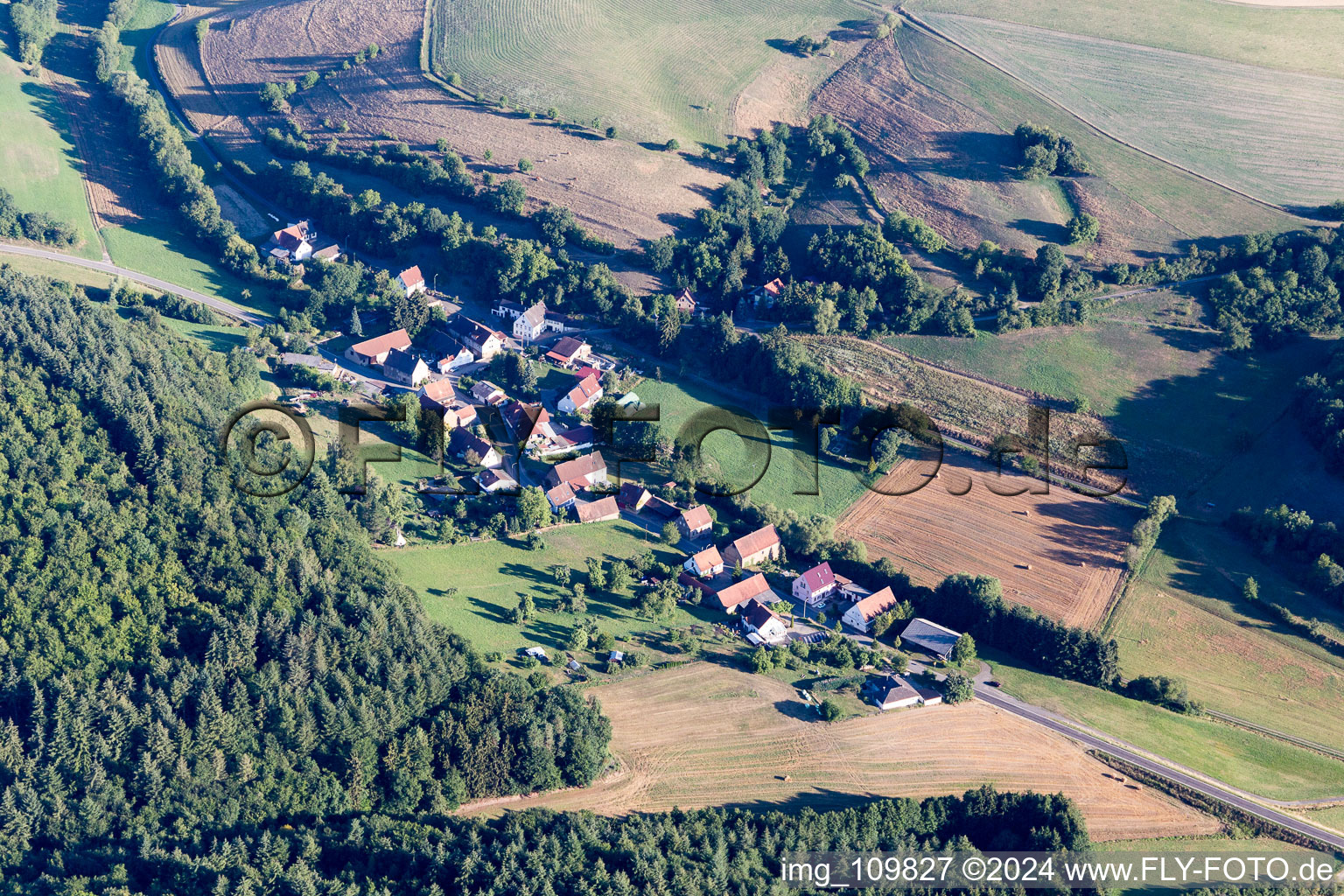 Oblique view of Gehrweiler in the state Rhineland-Palatinate, Germany