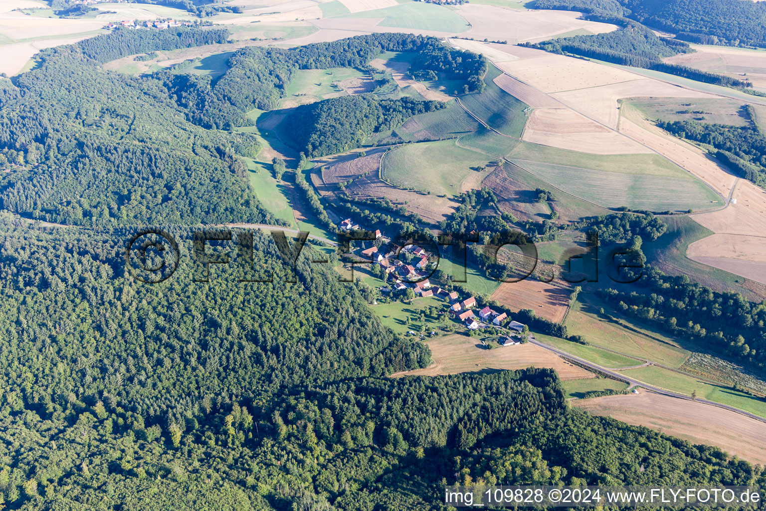 Gehrweiler in the state Rhineland-Palatinate, Germany from above