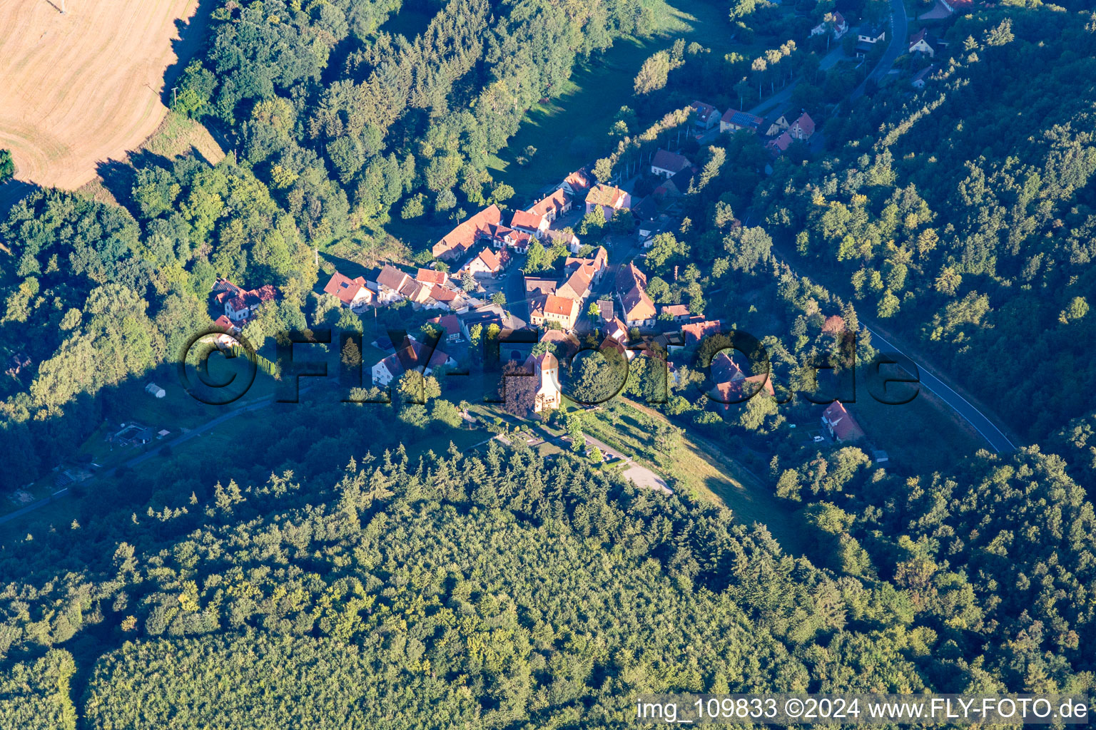 Aerial view of Reichsthal in the state Rhineland-Palatinate, Germany