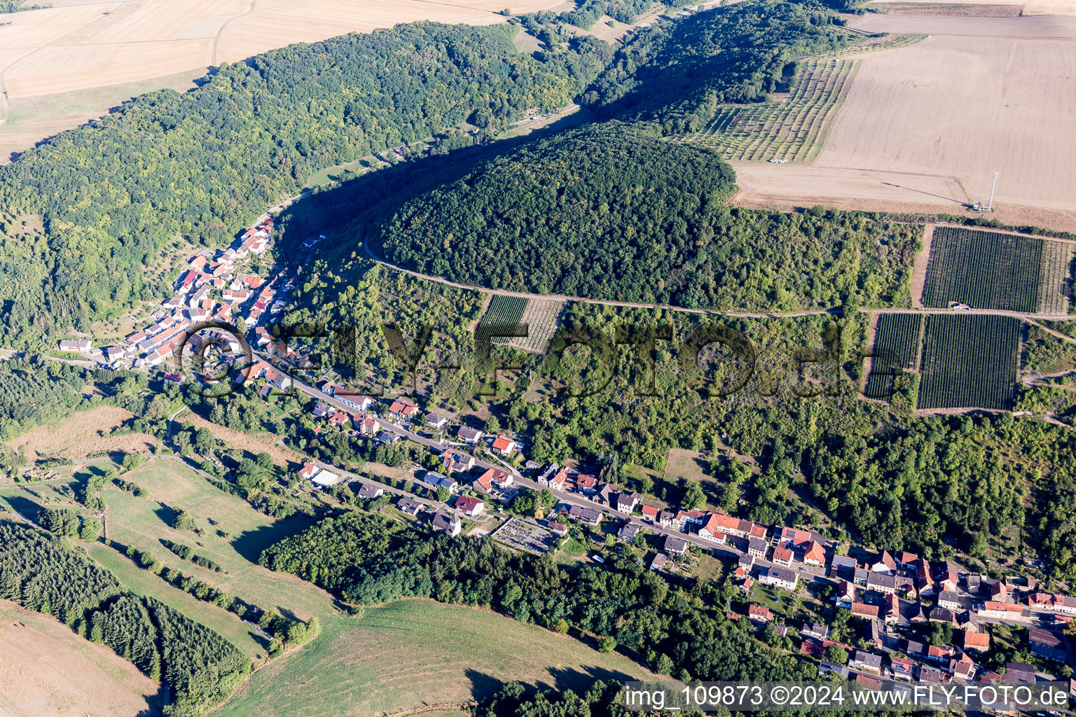 Aerial view of Raumbach in the state Rhineland-Palatinate, Germany