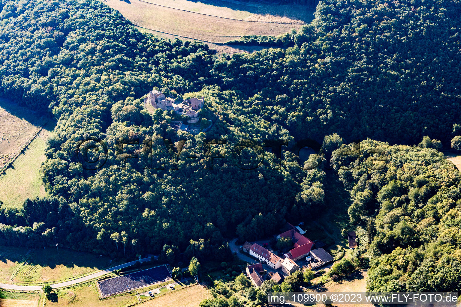 Aerial view of Montfort Castle Ruins in Hallgarten in the state Rhineland-Palatinate, Germany