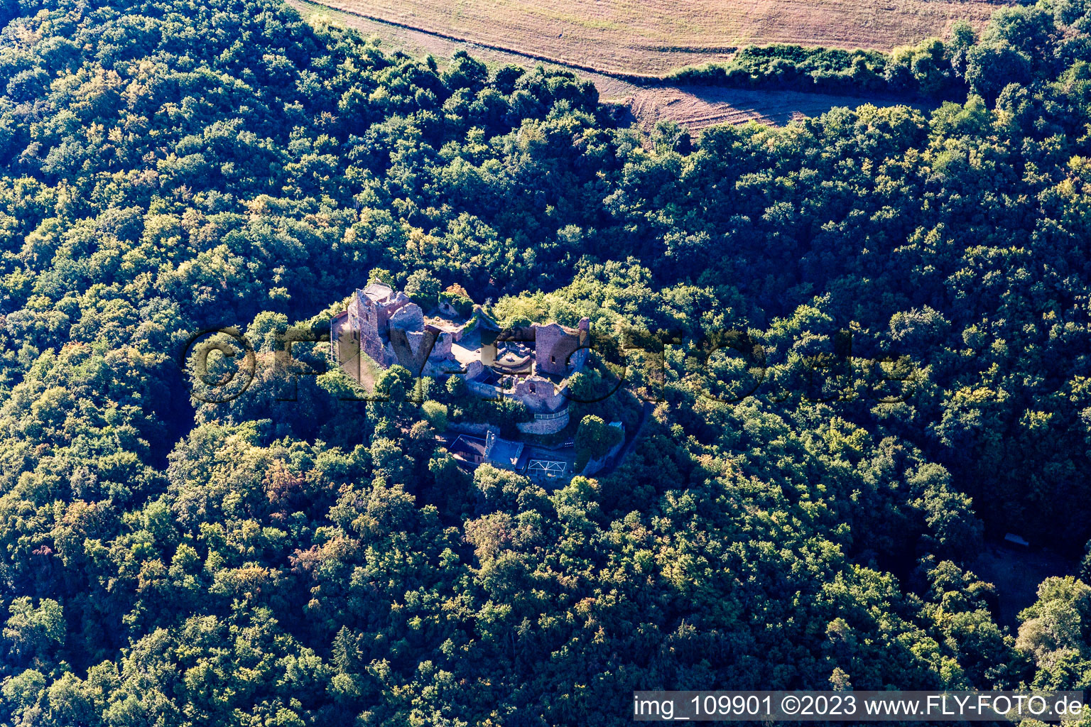 Aerial photograpy of Montfort castle ruins in Hallgarten in the state Rhineland-Palatinate, Germany