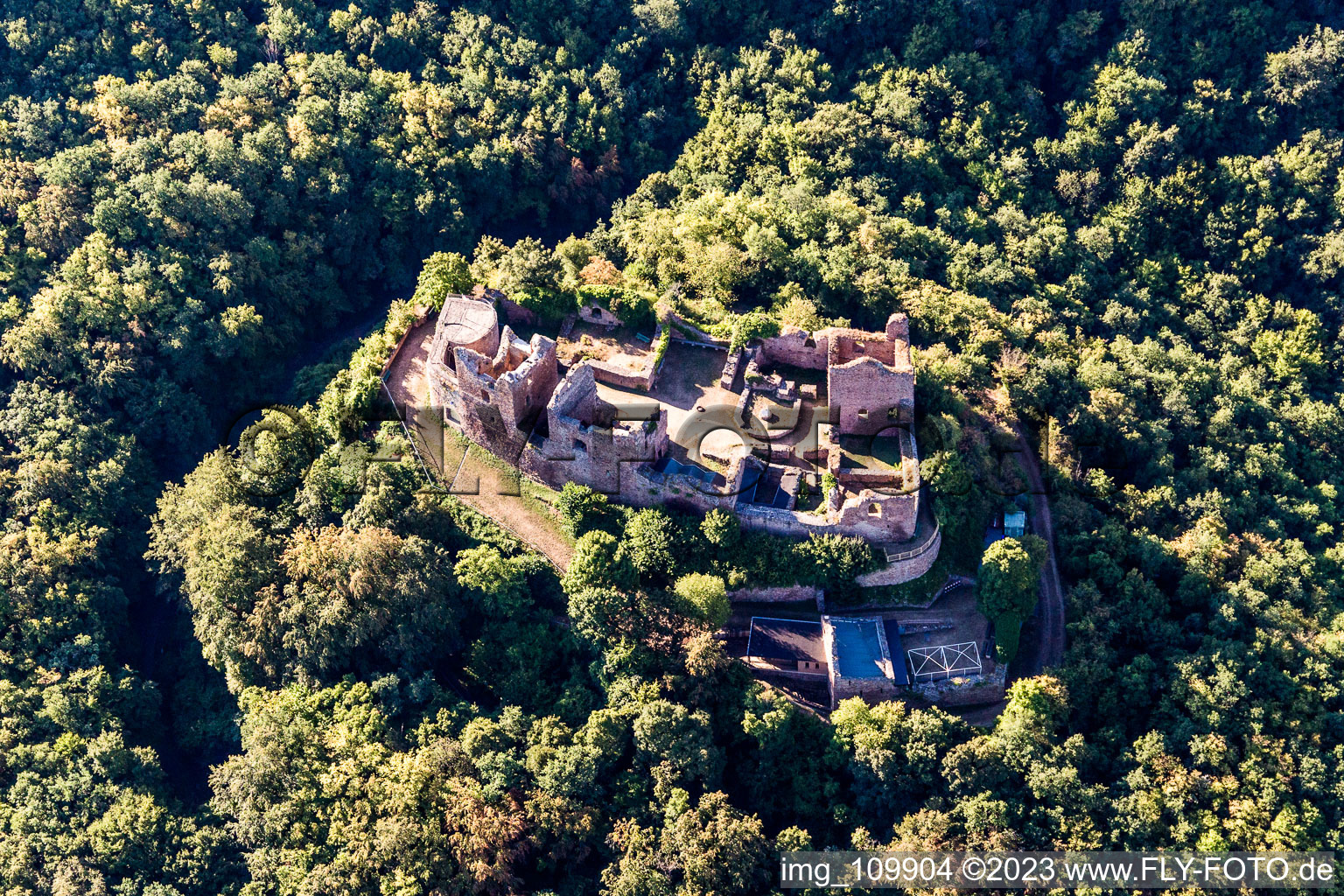Oblique view of Montfort castle ruins in Hallgarten in the state Rhineland-Palatinate, Germany