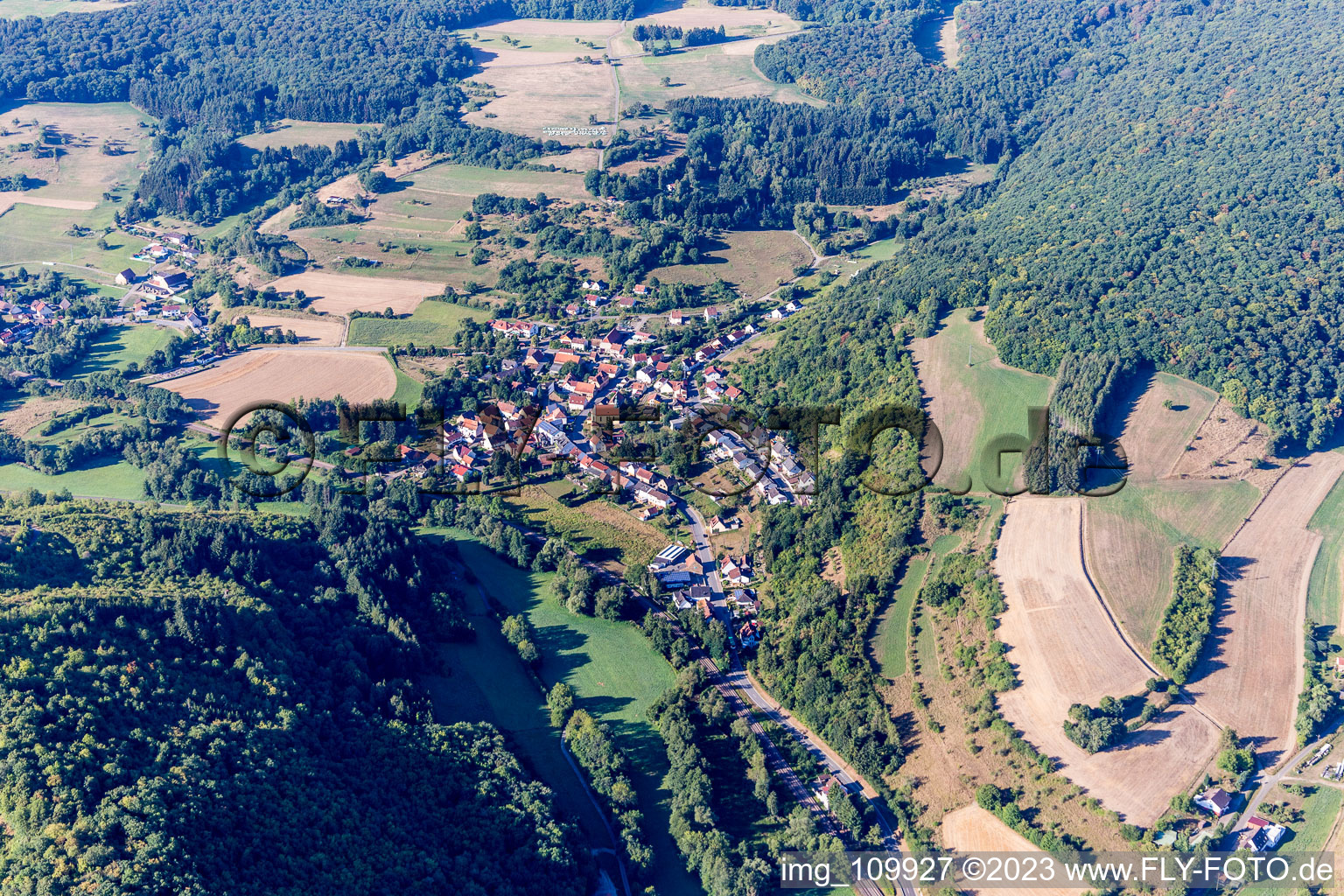 Mannweiler-Cölln in the state Rhineland-Palatinate, Germany from above