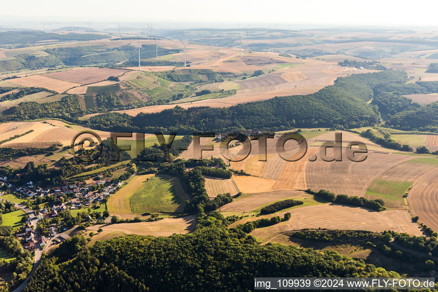 Mannweiler-Cölln in the state Rhineland-Palatinate, Germany from a drone