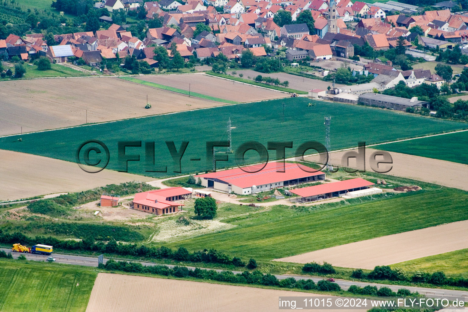 Chicken farm egg farm in Erlenbach bei Kandel in the state Rhineland-Palatinate, Germany