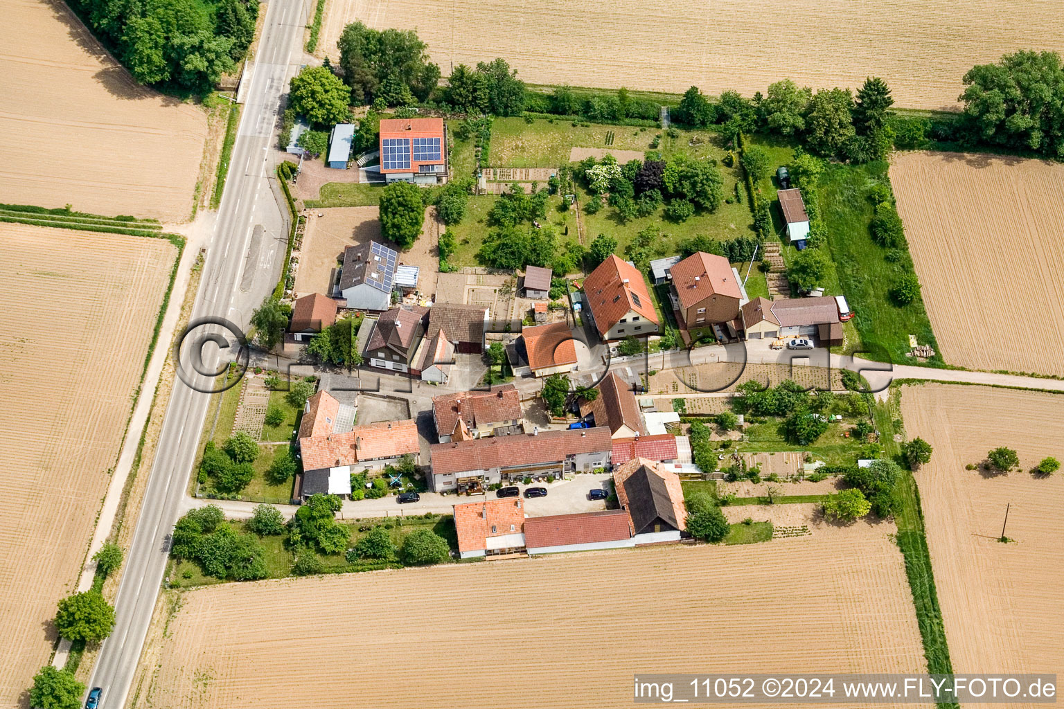 Welschhof from the west in Minfeld in the state Rhineland-Palatinate, Germany