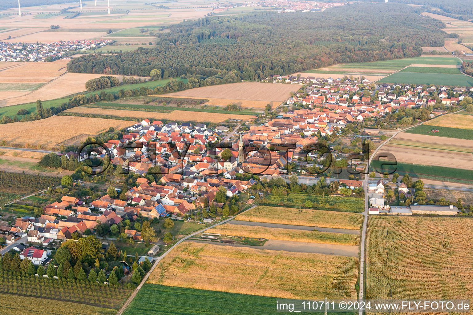 From northeast in Erlenbach bei Kandel in the state Rhineland-Palatinate, Germany from above