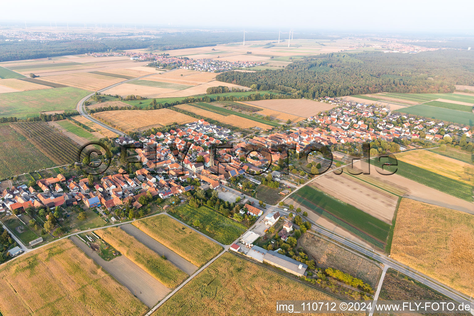 From northeast in Erlenbach bei Kandel in the state Rhineland-Palatinate, Germany out of the air