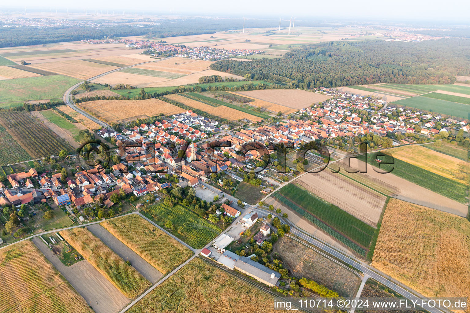 From northeast in Erlenbach bei Kandel in the state Rhineland-Palatinate, Germany seen from above