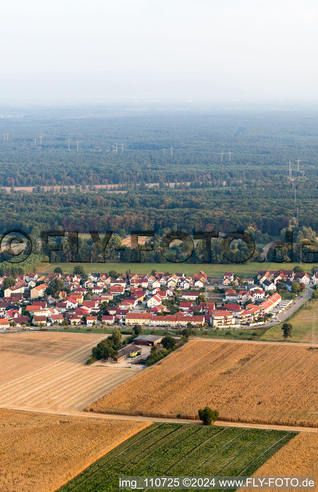 Bird's eye view of Kandel in the state Rhineland-Palatinate, Germany